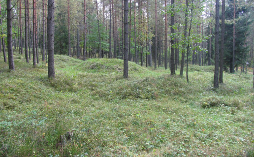 16_Poškoniu pilkapinas_1.jpg